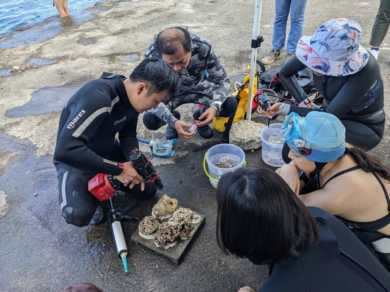 ▲新北珊瑚移植工作坊招募志工。（圖／新北市漁業處提供）