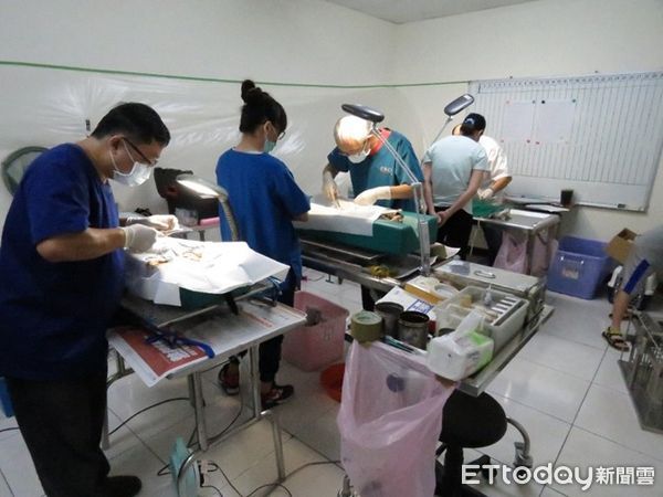 ▲台南市動物防疫保護處呼籲飼主為寵物辦登記及節育，以免被罰。（圖／記者林東良翻攝，下同）