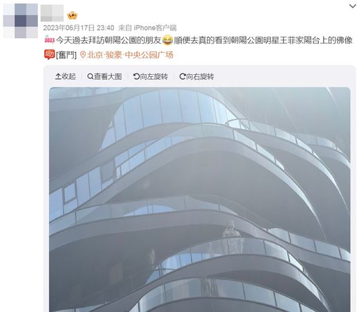 ▲▼王菲北京頂級豪宅「陽台有大佛像」，謠傳澄清3年仍成民眾打卡聖地。（圖／翻攝自微博）