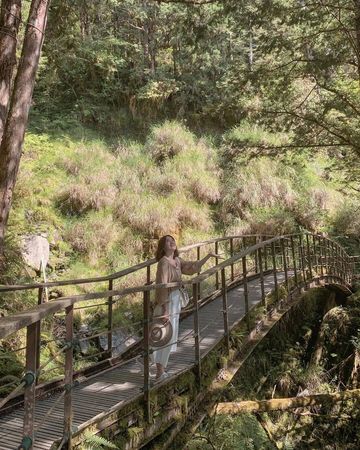 ▲▼全台國家森林遊樂區 沿著步道親近山林，讓大自然療癒身心。（圖／ReadyGo提供）