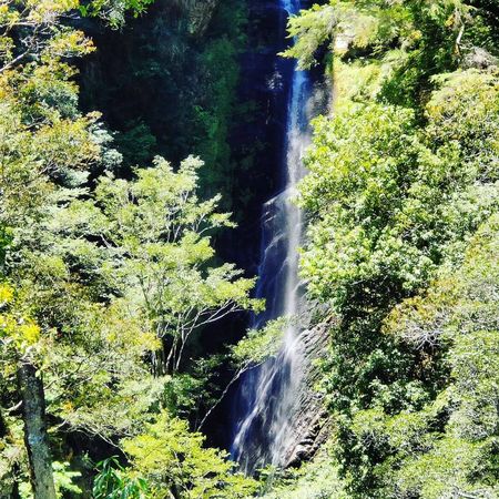 ▲▼全台國家森林遊樂區 沿著步道親近山林，讓大自然療癒身心。（圖／ReadyGo提供）