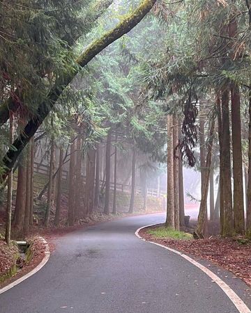 ▲▼全台國家森林遊樂區 沿著步道親近山林，讓大自然療癒身心。（圖／ReadyGo提供）