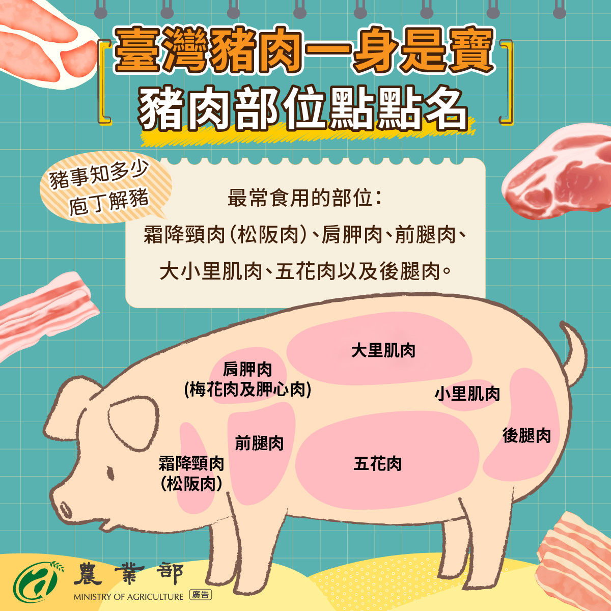 ▲▼豬肉可食用部位。（圖／取自農業部）