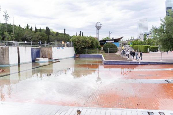 ▲▼西班牙民眾「放生水」是為了鴨子。（圖／翻攝自Diari de Sabadell）