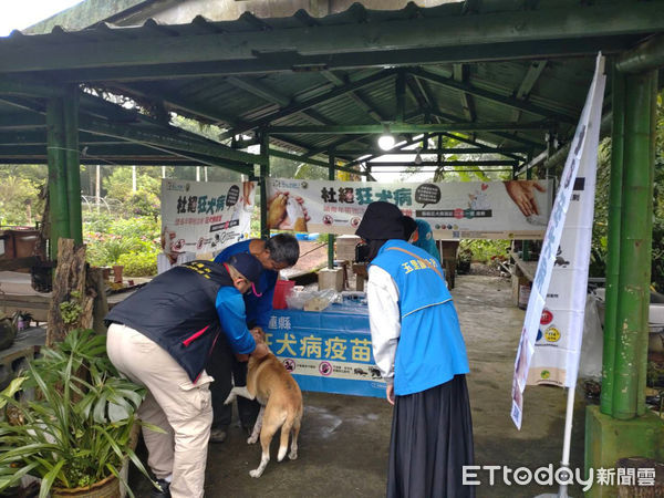 ▲由於不斷有鼬獾出現狂犬病案例，花蓮縣政府加強重點地區犬貓疫苗注射。（圖／花蓮縣政府提供）