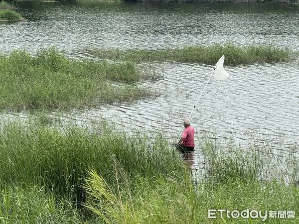 ▲▼  中埔鄉公館滯洪池疑發現鱷魚蹤跡 縣府緊急派員巡查 。（圖／嘉義縣政府提供）