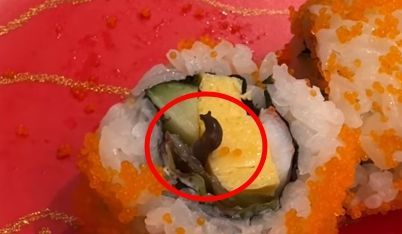 ▲花壽司竟爬出一隻蛞蝓。（圖／翻攝自臉書爆料公社（官方粉專專屬））