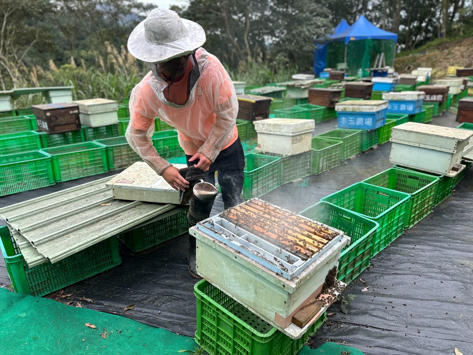 ▲發掘新北山林蜜寶 平溪蜂農父子創蜂蜜品牌。（圖／新北市農業局提供）