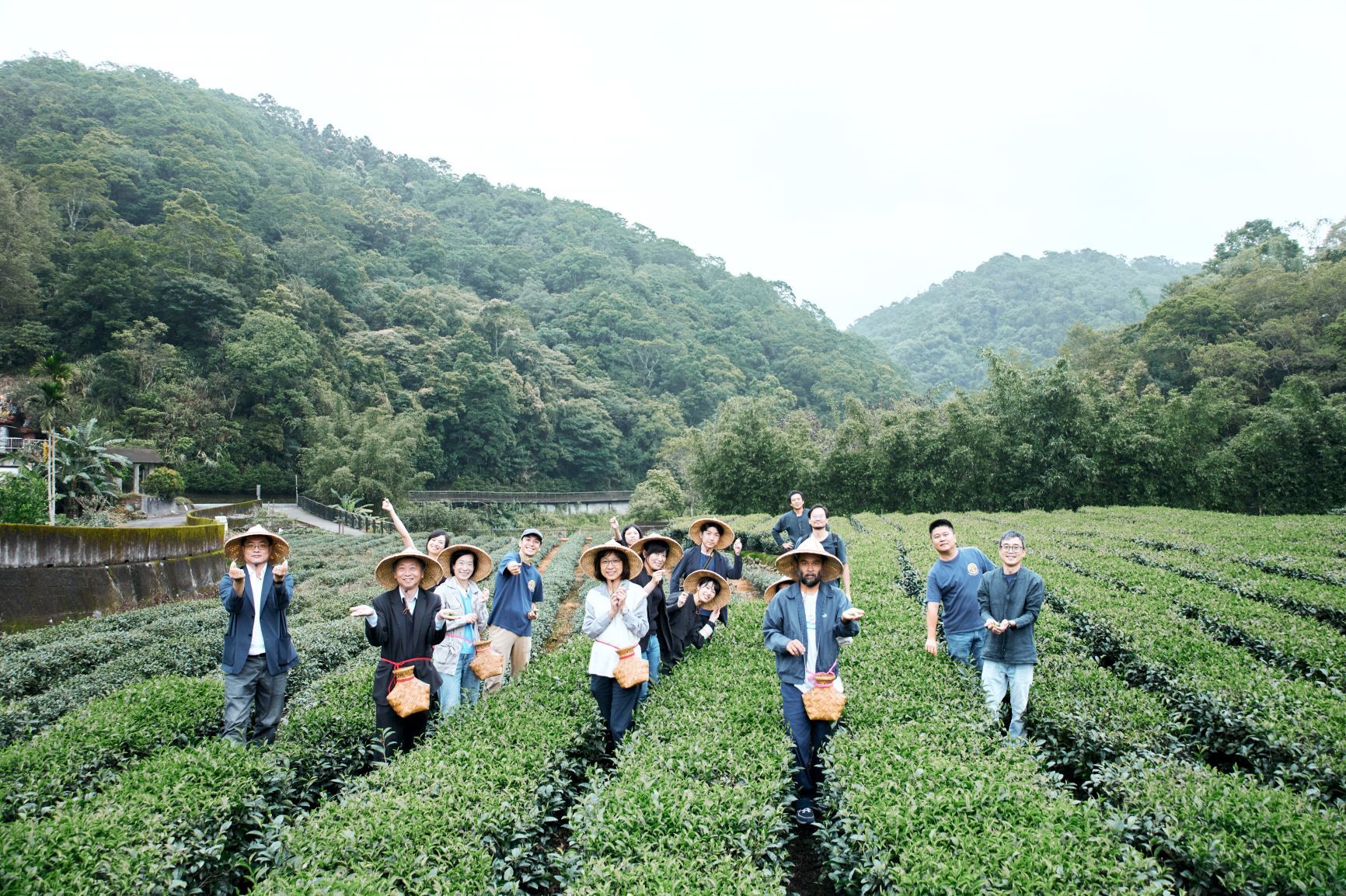 ▲響應521國際茶日 新北好茶推預購優惠。（圖／新北市農業局提供）