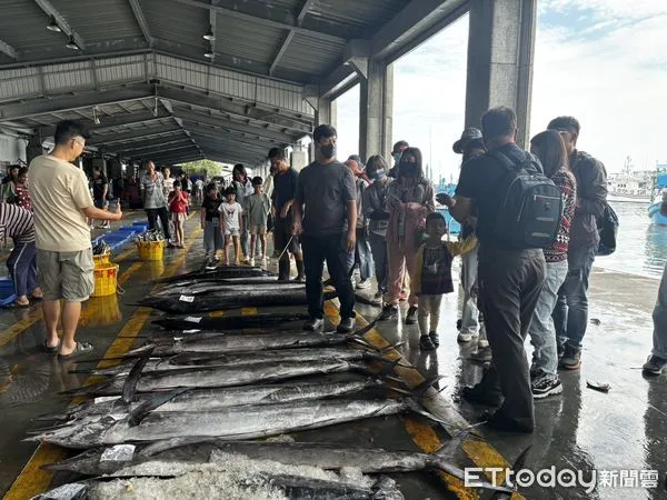 ▲臺東慢旅走讀，食魚教育體驗。（圖／記者楊漢聲翻攝）