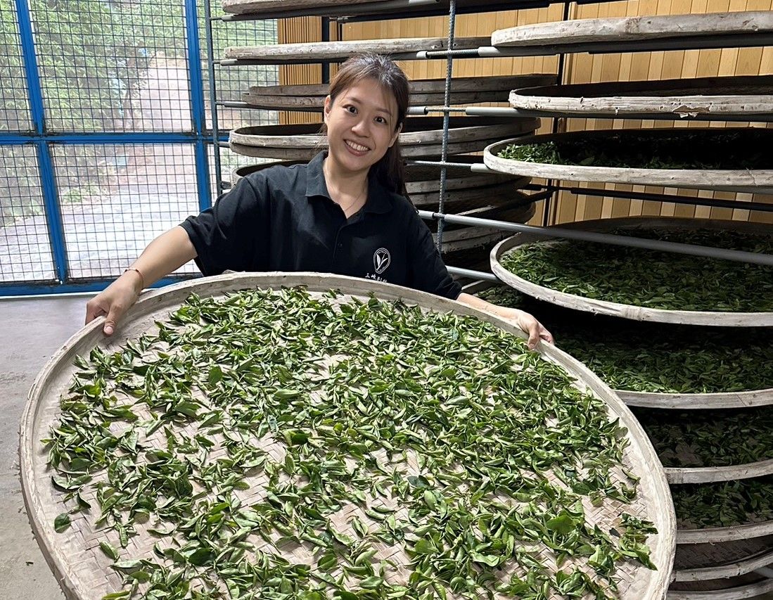 ▲新北女青農林孟諭傳承茶香 三峽百年茶行推食農教育。（圖／新北市農業局提供）