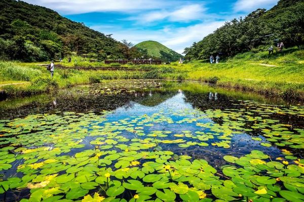 ▲台北大縱走第三段_七星山,台北大縱走第一段_二子坪步道,台北大縱走第八段_河濱公園花海。（圖／台北晶華酒店提供）