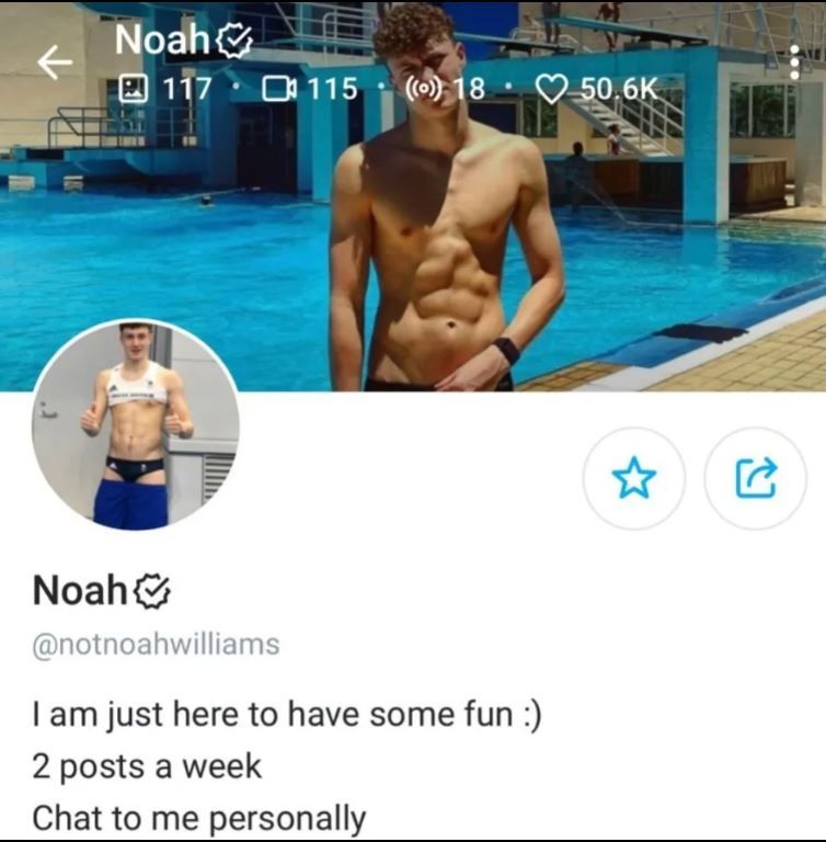 ▲▼英跳水男神下海Onlyfans！賣裸照籌奧運資金。（圖／翻攝自Onlyfans、IG／noah_w9）