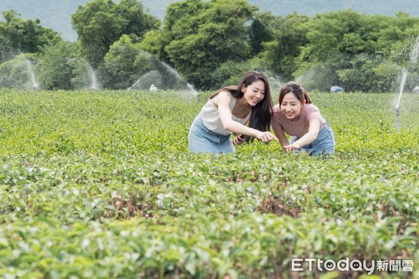 ▲▼縱管處誠摯邀請國內外旅客前來花東縱谷，親身體驗《恩典與歡慶》所展現的花東縱谷之美。（圖／縱管處提供，下同）