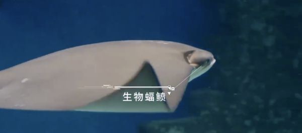 ▲大陸「仿生魚機器人」技術持續升級。（圖／翻攝微博）