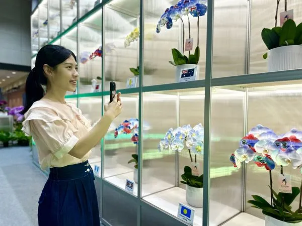 ▲▼桃園機場第二航廈展出30株採奈米噴染設計友好國家國旗的蘭花牆。（圖／桃機公司提供）