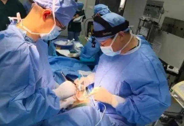 ▲▼ 安徽一醫院將豬肝移植給肝癌病人 系世界首例活體人的異種肝移植手術            。（圖／翻攝 極目新聞）