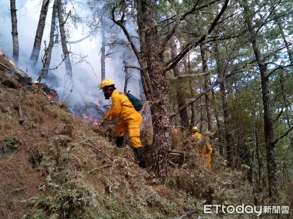 ▲林業署嘉義分署招募11名森林護管員。（圖／林業署嘉義分署提供）