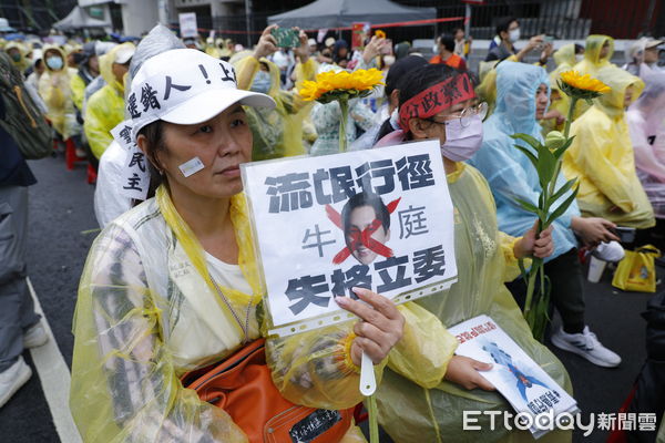 ▲▼青鳥行動，立法院外抗議人潮，國會改革法案。（圖／記者湯興漢攝）