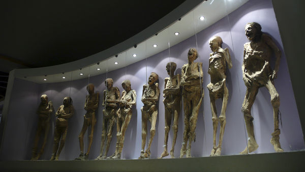 ▲▼2008年，墨西哥瓜納華托州（Guanajuato）瓜納華托市立「木乃伊博物館」（Mummy Museum）展示的木乃伊。（圖／達志影像／美聯社）