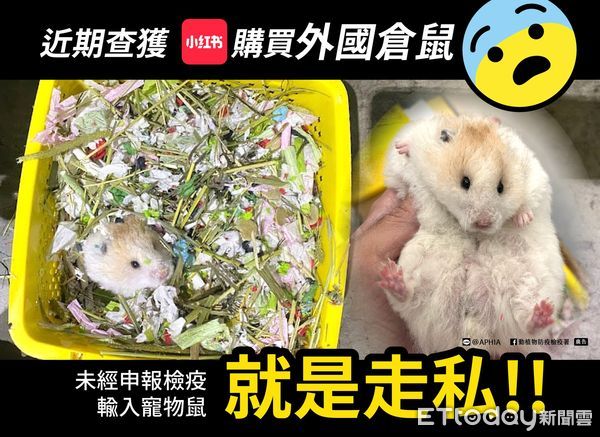 ▲防檢署提醒，網購活體動物就是走私行為。（圖／防檢署提供）