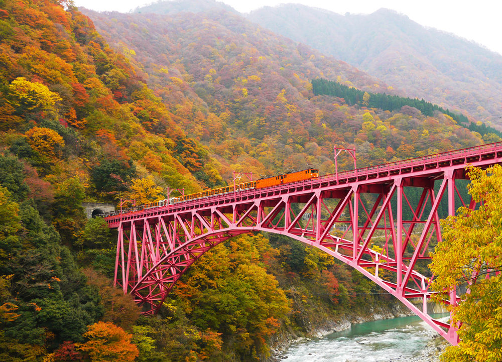 ▲▼今秋立山黑部賞楓　順遊秋天的童話合掌村。（圖／業者提供）