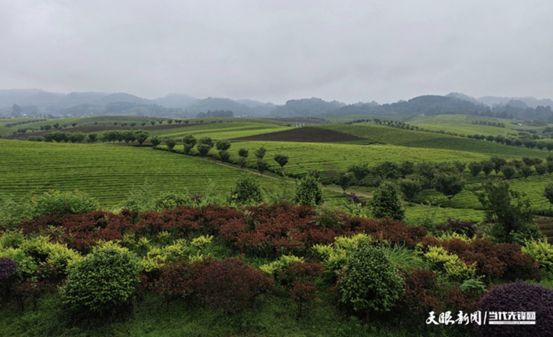 ▲▼海峽兩岸網絡新媒體大陸行推進中國式現代化之看貴州&mdash;&mdash;走進遵義。（圖／天眼新聞）