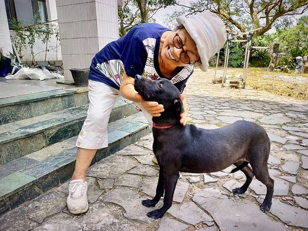 ▲▼狗狗的愛讓創作靈感源源不絕　80歲陶犬阿嬤認養黑狗「樂樂」。（圖／新北市動保處提供）