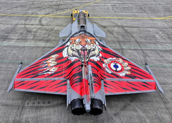 ▲▼法國飆風戰鬥機參加北約老虎會的特別塗裝。（圖／法國海軍）