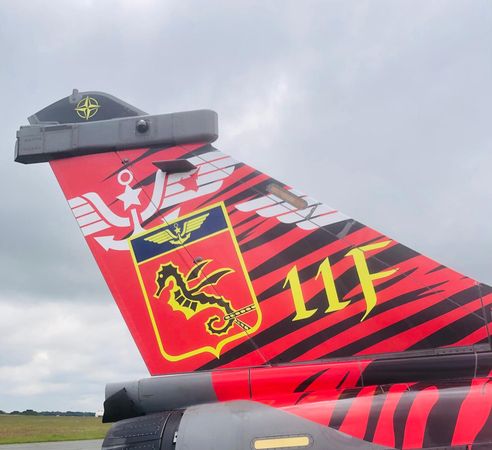 ▲▼法國飆風戰鬥機參加北約老虎會的特別塗裝。（圖／法國海軍）