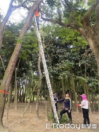 ▲台南山上花園水道博物館，每日即時連線分享的黑冠麻鷺育雛生態紀錄，也成為風雨中民眾熱切關注的對象。（圖／記者林東良翻攝，下同）