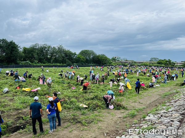 ▲六堆日萬巒好事會花生系列活動             。（圖／林育先提供）