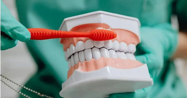 醫師表示，一天最好刷3到4次牙。（示意圖／Pexels）