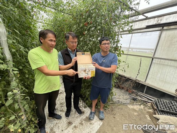 ▲台塑企業與朝陽科大組建農業輔導團隊，以雲林經濟作物「小番茄」進行示範觀摩會。（圖／記者蔡佩旻翻攝）