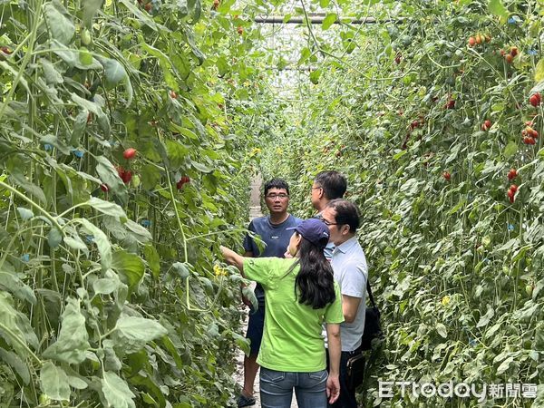 ▲台塑企業與朝陽科大組建農業輔導團隊，以雲林經濟作物「小番茄」進行示範觀摩會。（圖／記者蔡佩旻翻攝）