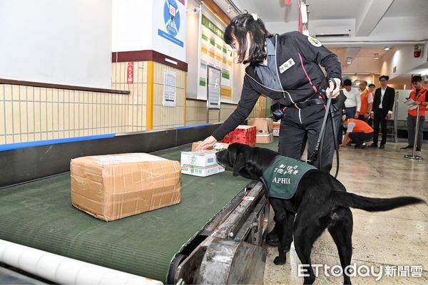 ▲卓榮泰視察國際郵包檢疫作業。（圖／行政院提供）