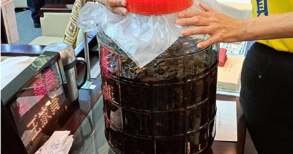 獅潭鄉民代表劉雪梅昨意外發現買了10多年的假海馬等珍貴藥材。 （圖／報系資料照）