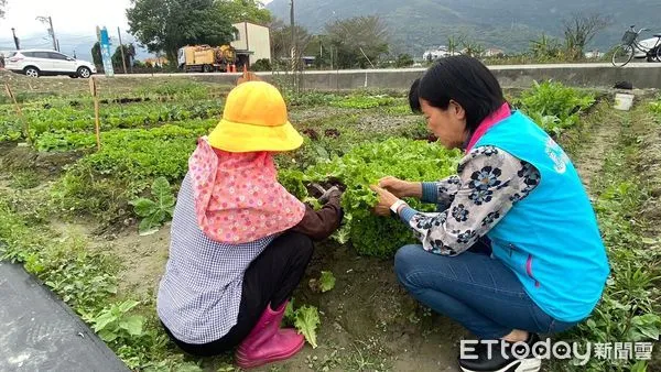 ▲▼吉安鄉鬱金香公園開放認養，讓鄉親們享受都市農民的愜意生活。（圖／吉安鄉公所提供，下同