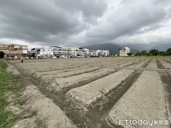 ▲▼吉安鄉鬱金香公園開放認養，讓鄉親們享受都市農民的愜意生活。（圖／吉安鄉公所提供，下同