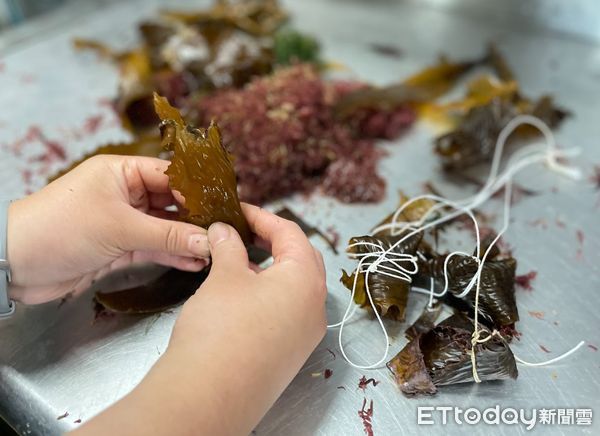 ▲「海裡飄整串粽子」魚群聞香追搶吃！（圖／屏東海生館提供，請勿隨意翻拍，以免侵權。）