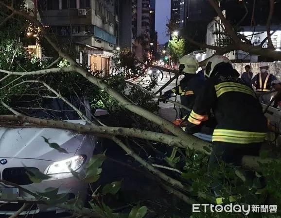 ▲▼快訊／北市路樹突倒塌　BMW開到一半被壓3人受困。（圖／記者黃宥寧翻攝）