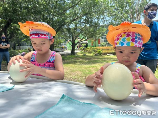 ▲台南學甲頑皮世界野生動物園，中午舉辦全台最大立蛋活動，只見哨音一響，大小朋友在親友的催促聲中使出渾身解數，有人最快只花28秒成功立蛋。（圖／記者林東良翻攝，下同） 