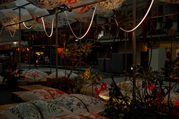 ▲▼2024花蓮城市空間藝術節以「裸花蓮」為主題，在日光大道上開展。（圖／花蓮縣文化局）
