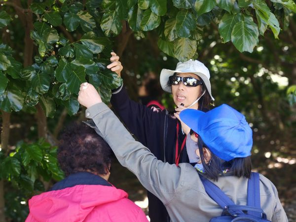 ▲▼新北市美術館戶外園區將舉辦「感官漫遊 落日派對」，內容包含生態導覽、舞踏聲響、電子音樂、市集。（圖／新北市美術館提供）