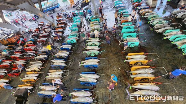 ▲東港區漁會魚會捕獲拍賣的黑鮪魚 。（圖／取自總幹事鄭鈺宸臉書）           