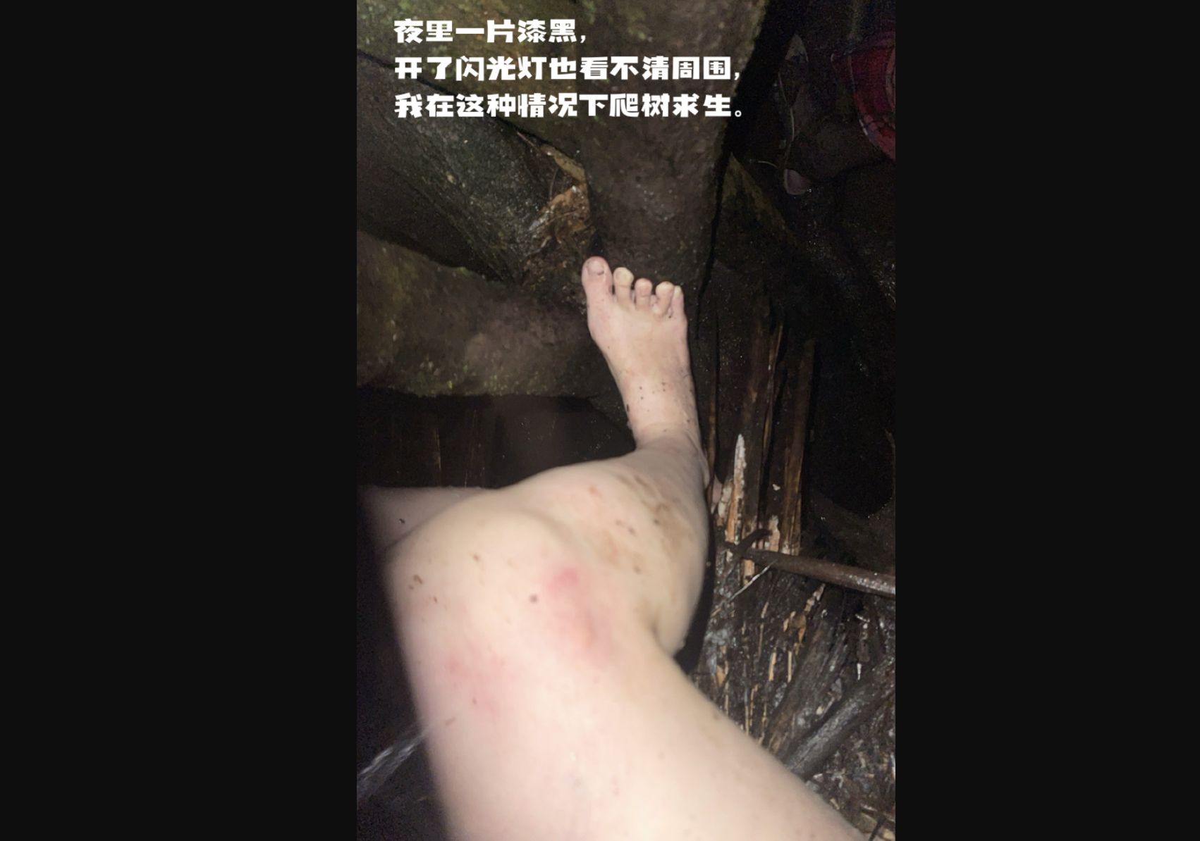 ▲大陸一名女博主在肯亞經歷大洪水，躲樹上極限求生12小時。（圖／翻攝微博）