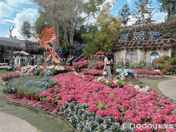 ▲▼花露農場繡球花季。（圖／記者黃凱翊攝）