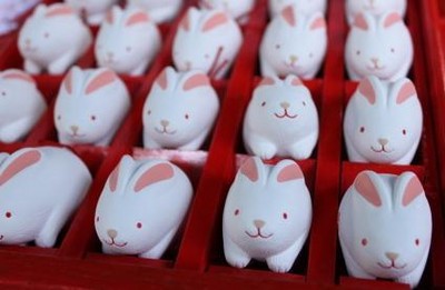 日本治癒兔神社，抽壞籤也捨不得丟❤