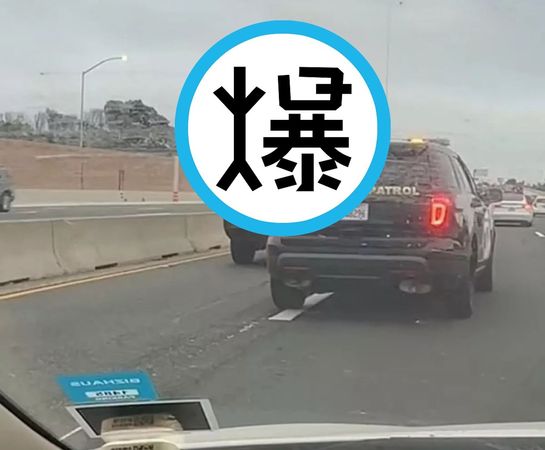 美女被警追緝，站車頂把衣服全脫了！袒胸露肉讓老司機超激動。（翻自《每日郵報》）