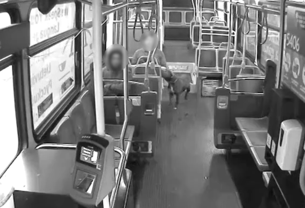 女公車司機救狗狗。（圖／翻攝自臉書@Milwaukee County Transit System）